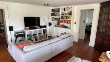 Smart TV, chimenea, reproductor de DVD y libros