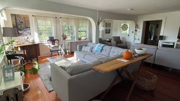 TV connectée, cheminée, lecteur de DVD, livres