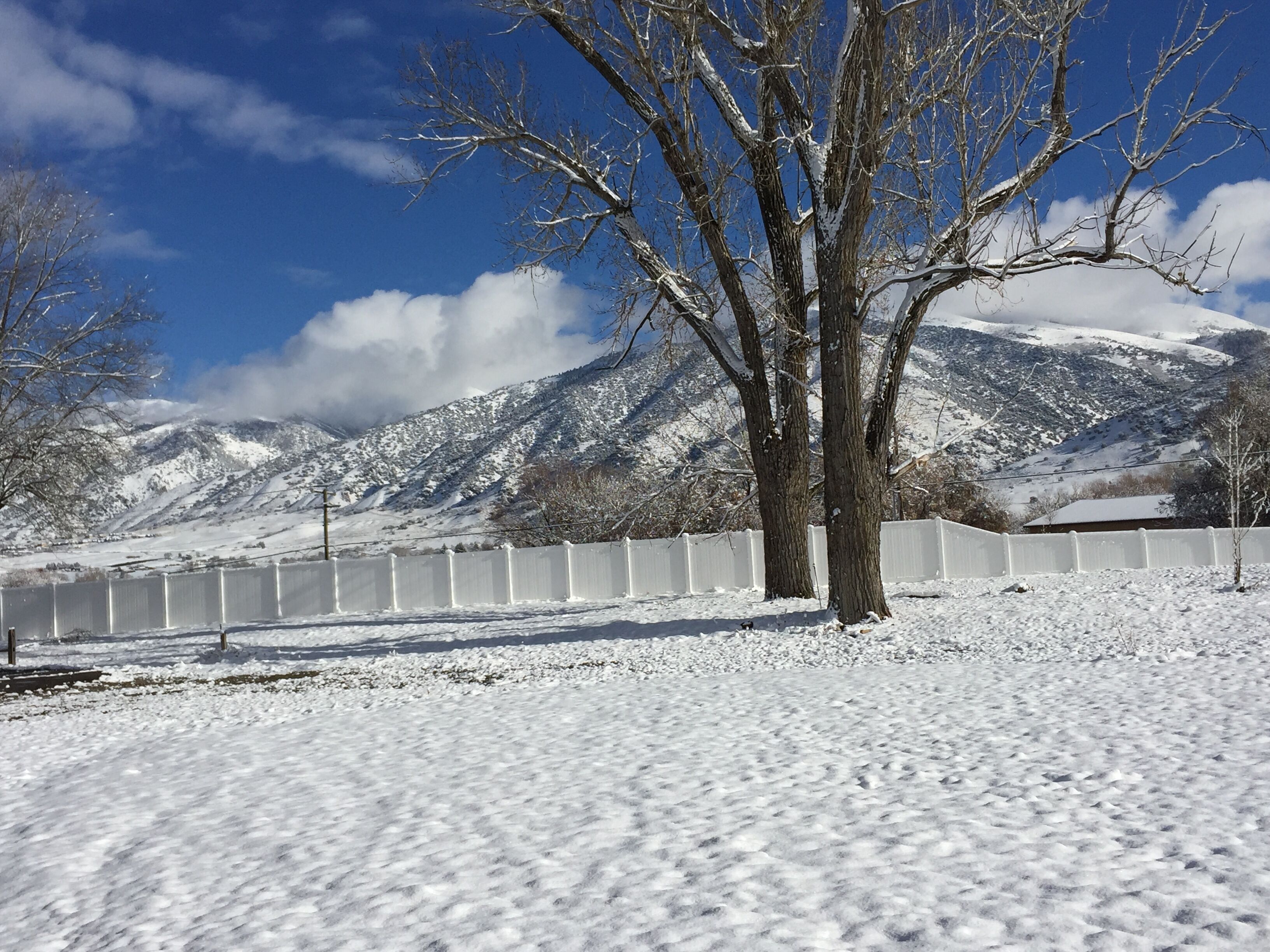 Un paisaje nevado con un árbol en primer plano, una cerca blanca y una cordillera al fondo.