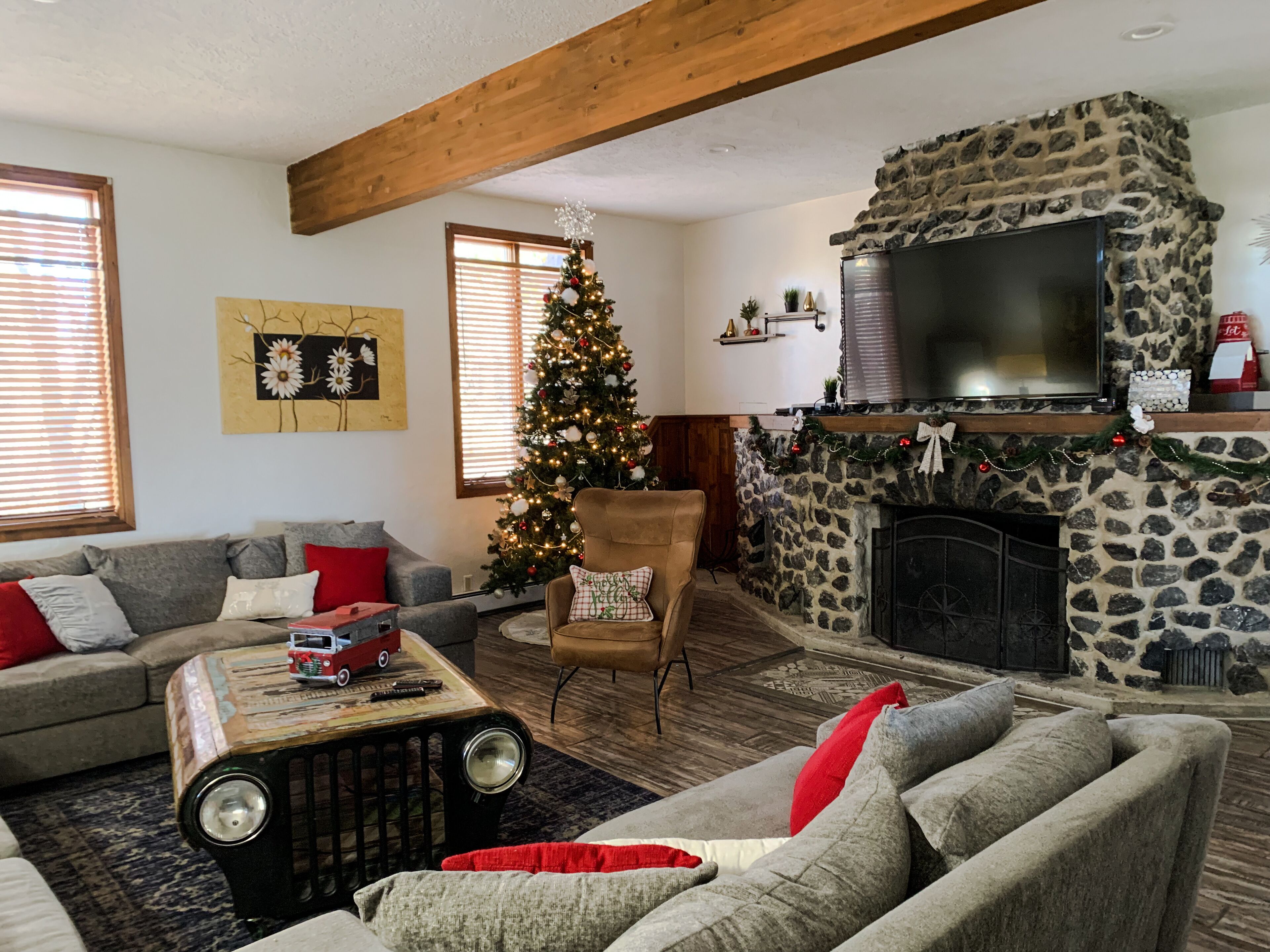 TV connectée, cheminée, lecteur de DVD, livres