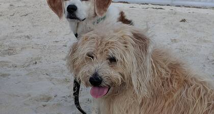 BEACHFRONT 12 @ PONCE LANDING