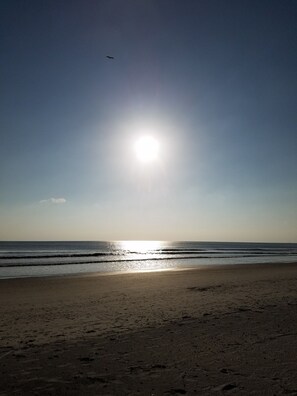 Accommodatie ligt op het strand, ligstoelen, strandlakens
