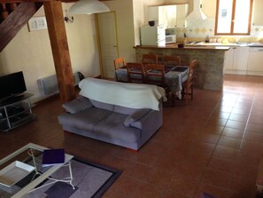 TV, fireplace, video games, DVD player - Spacious 3 Bed Gite, Aude, Pool, Hot Tub, Free Wi-fi, Games Room, Pet-Friendly! (Arques)
