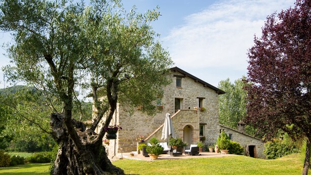 Un bâtiment en pierre avec un toit en pente, une terrasse avec des meubles d’extérieur et un grand arbre au premier plan.