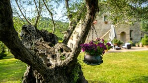 Un cadre extérieur rustique, avec un pot de fleurs suspendu à un arbre, une pelouse verdoyante et, au fond, un bâtiment à la façade en pierre.