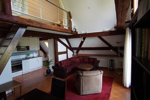 تلفزيون بشاشة مسطحة، كُتُب