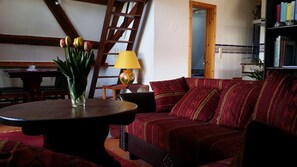 Flachbildfernseher, Bücher