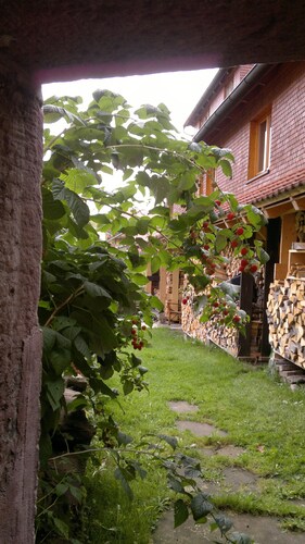 NEU !  Großzügige Wohnung auf 2 Stockwerken für 2-3 Personen