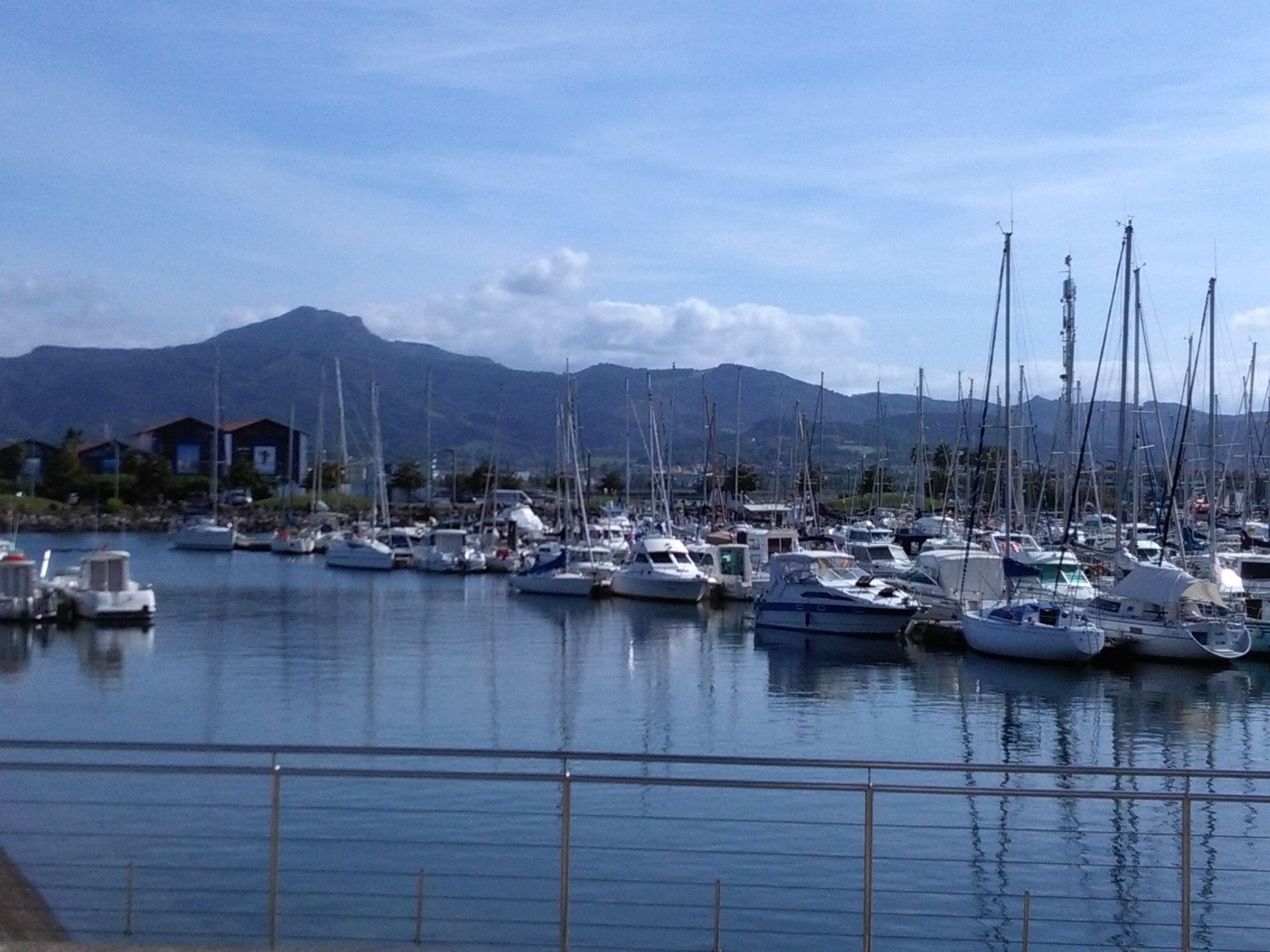 A marina with numerous boats docked, a clear sky, and mountains in the background.