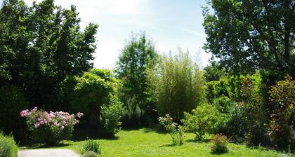 Vivienda unifamiliar climatizada de 60m2 con jardín.