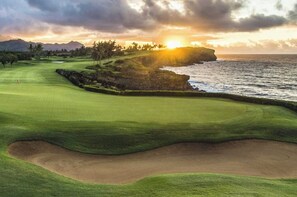 Golf - Sunny Poipu Beach House Near Grand Hyatt, Views, AC, Guest Favorite (Koloa-Poipu)