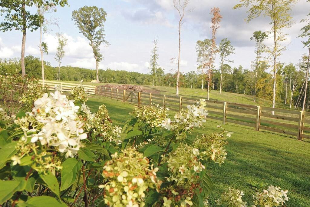 A grassy outdoor area with a wooden fence and trees in the background.