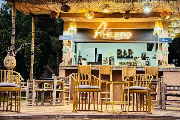 Outdoor pool, open 9:00 AM to 8:00 PM, pool umbrellas, sun loungers