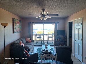 Smart TV, DVD player, books, video library