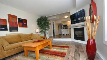 Smart TV, fireplace, books