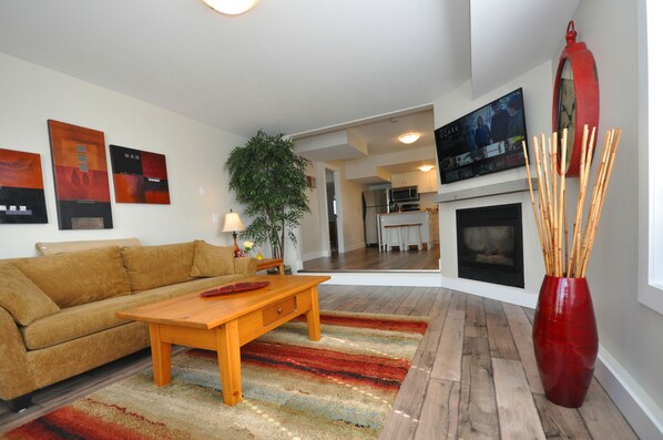 Smart TV, fireplace, books