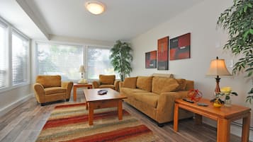 Smart TV, fireplace, books