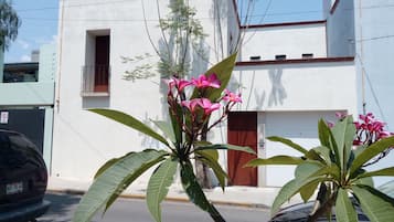 Vista frontal de la propiedad