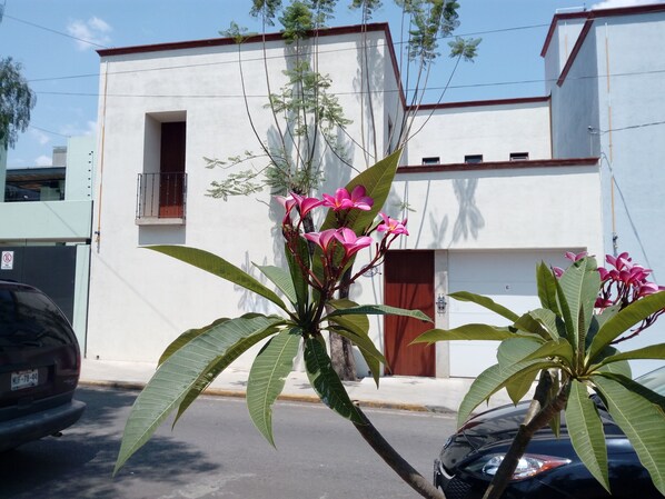Vista frontal de la propiedad