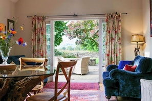 Smart TV, chimenea, reproductor de DVD y libros