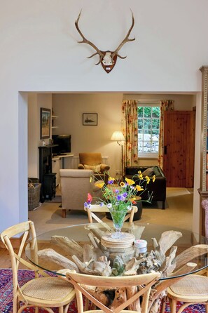 Smart TV, fireplace, DVD player, books