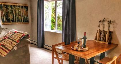 Charming Guest Suite Close to Downtown Golden