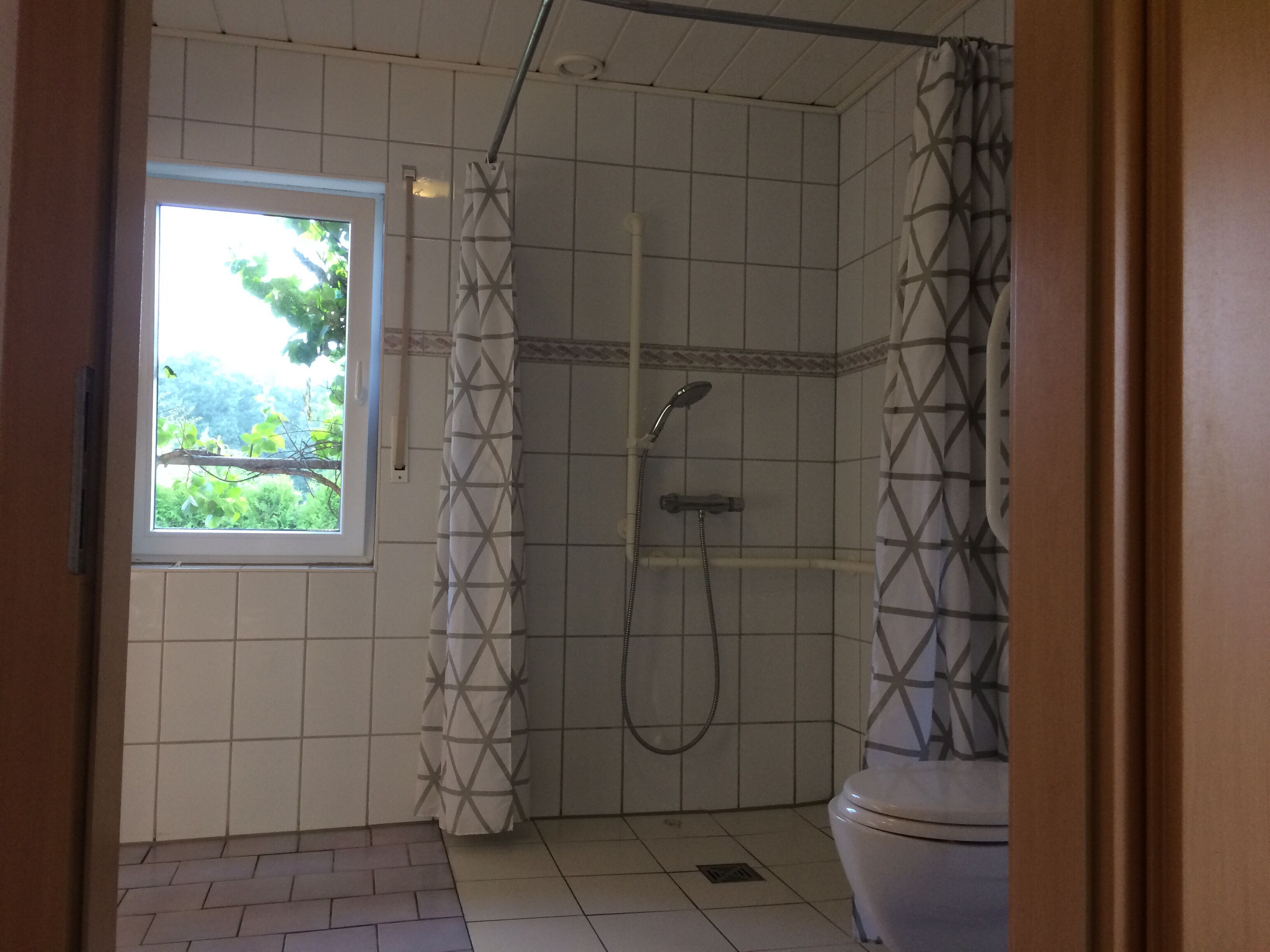 シャワー、ヘアドライヤー、タオル、トイレットペーパー