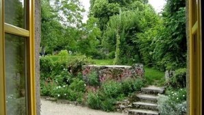 A garden with a stone wall, steps, and various plants.