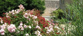 Gardens Ciezalel Lemmikit Morvan