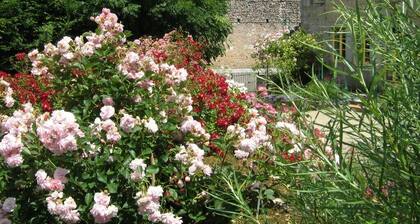 Vacances avec chiens en Morvan