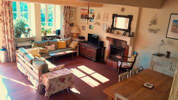 TV, fireplace, table tennis, books