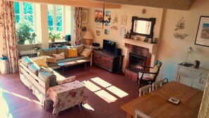 TV, fireplace, table tennis, books