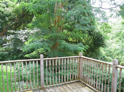 Pristine Cape Cod on the Creek - 4 habitaciones - 8 huéspedes!