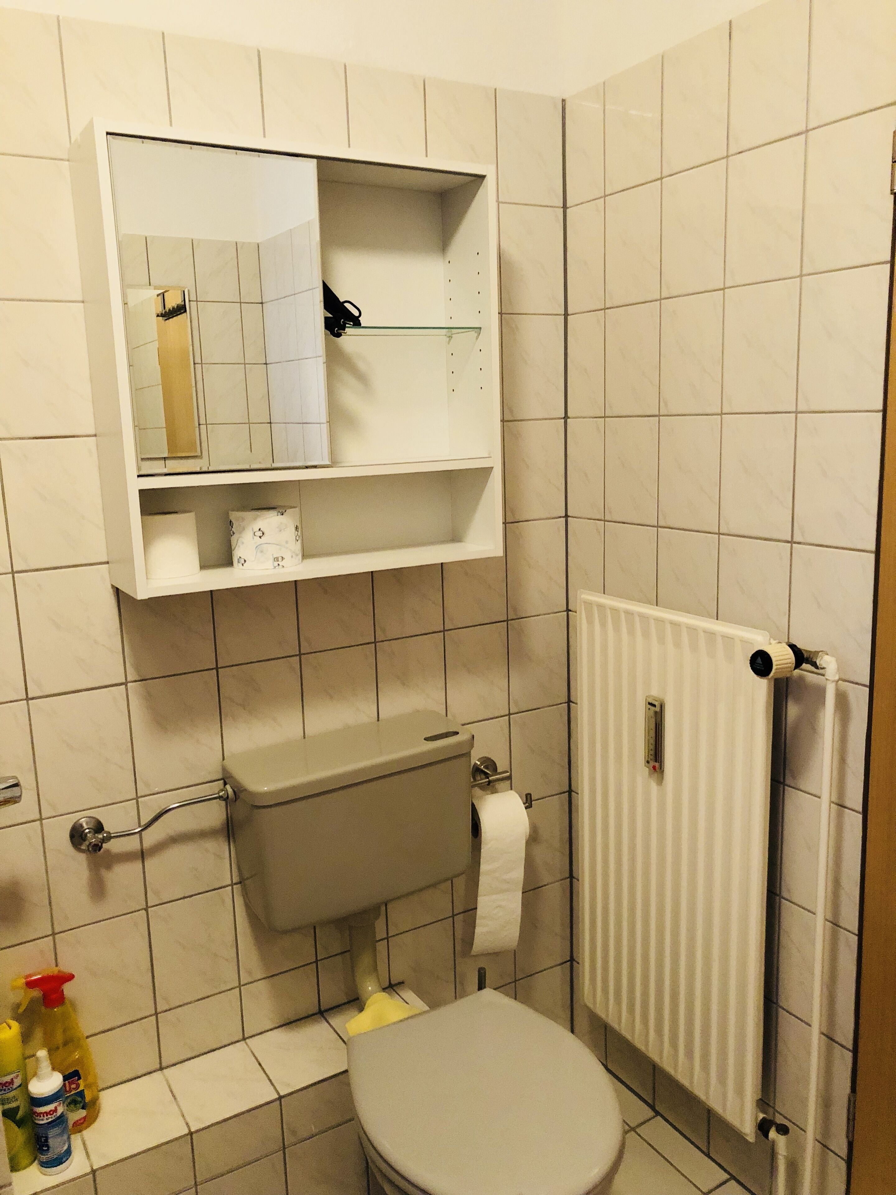 A bathroom with a toilet, a white radiator, a shelf with a mirror, and a roll of toilet paper.