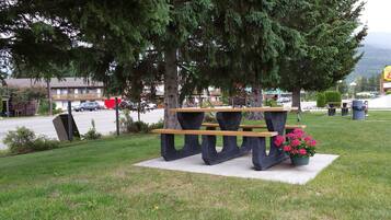 Aire de pique-nique/barbecue