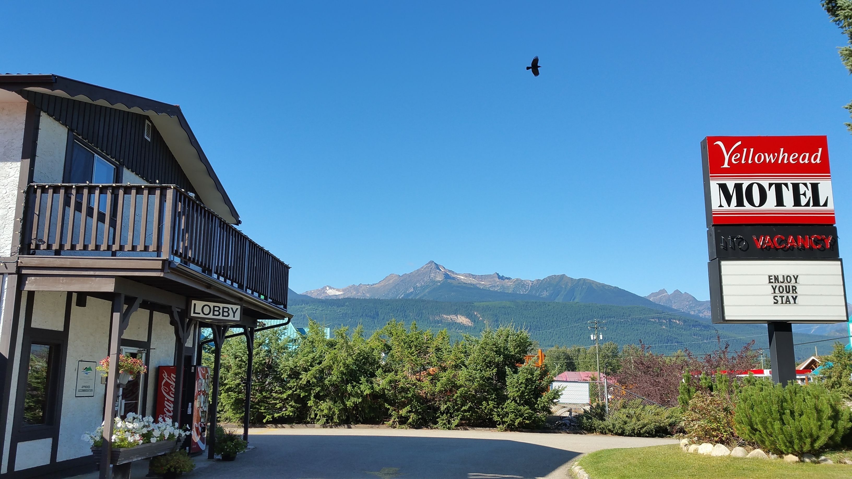 숙박 시설의 전망