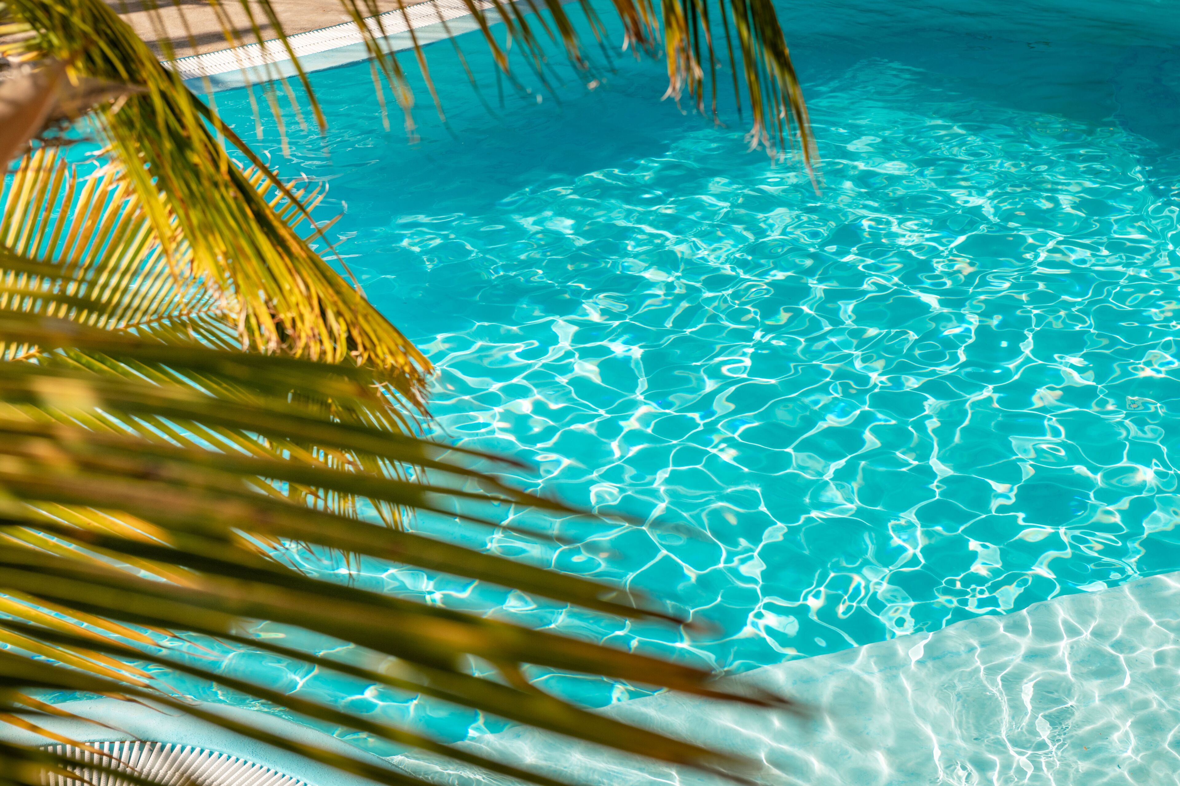 Outdoor pool, a heated pool, pool umbrellas