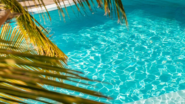 A clear blue pool with visible water patterns and palm leaves in the foreground. - Alhambra Boutique  (San Bartolomé de Tirajana)