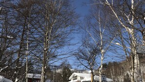 A snow-covered residential area with houses and leafless trees. - Pension Tengallonhat (Matsumoto)
