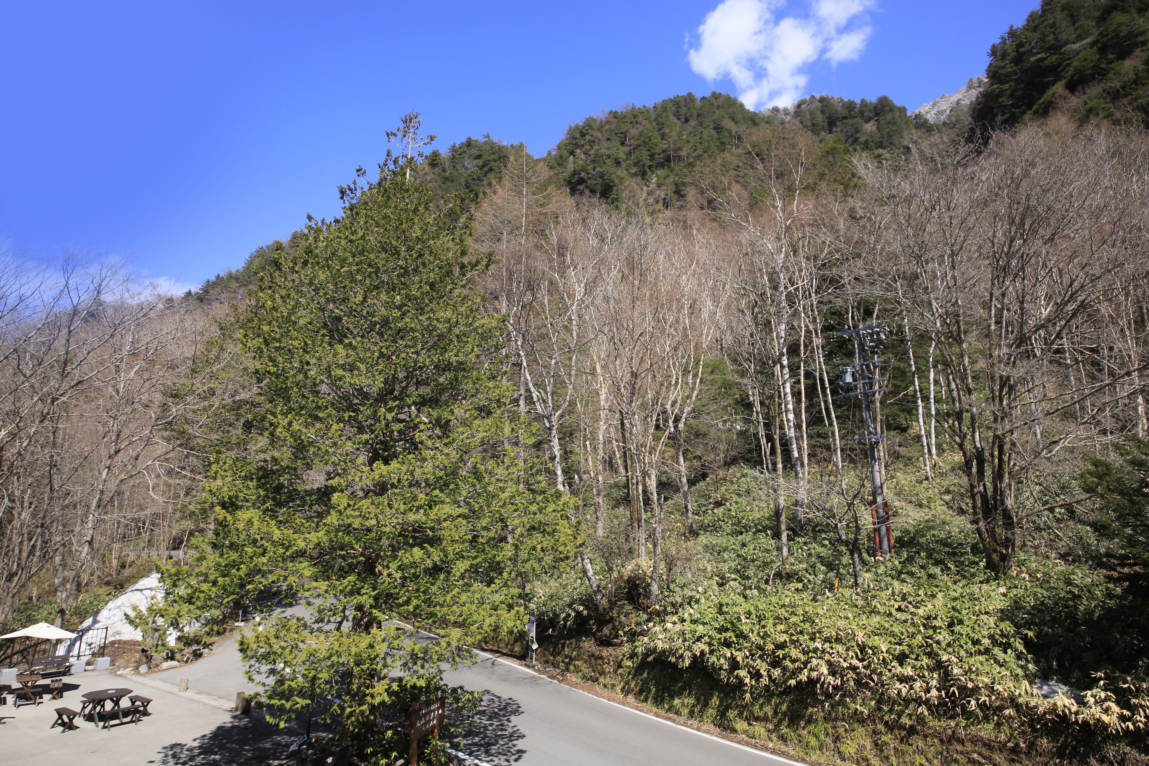 twin room, mountain view | view from room