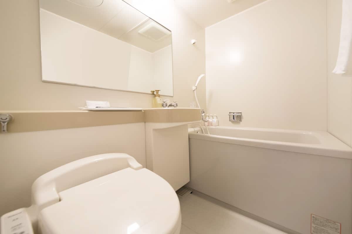 combined shower/bathtub, free toiletries, hair dryer, slippers