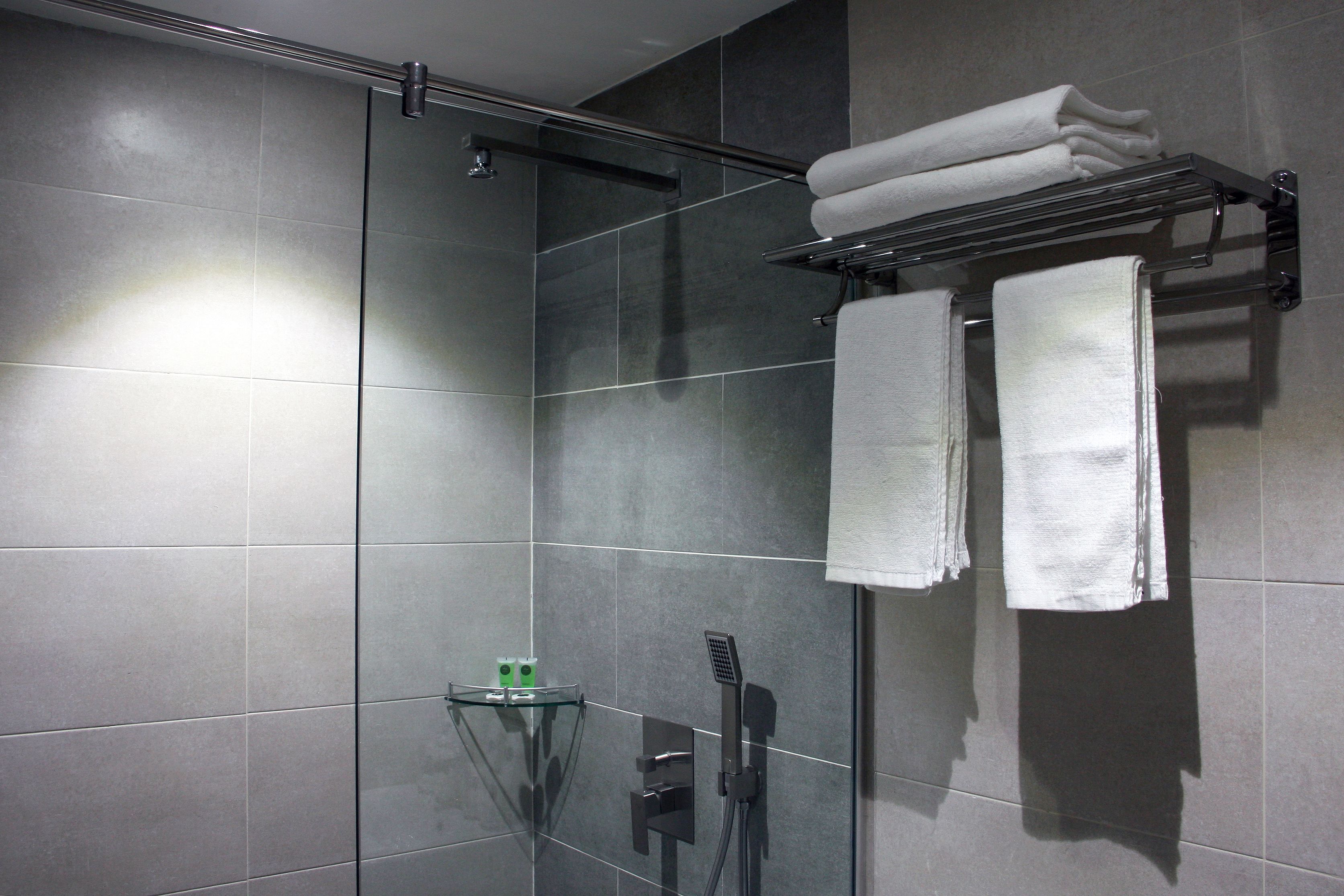 shower, free toiletries, hair dryer, towels