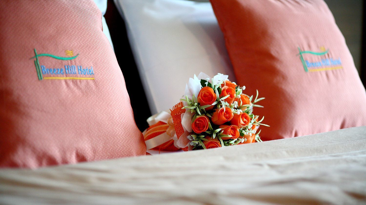 deluxe double or twin room | 1 bedroom, free wifi, bed sheets