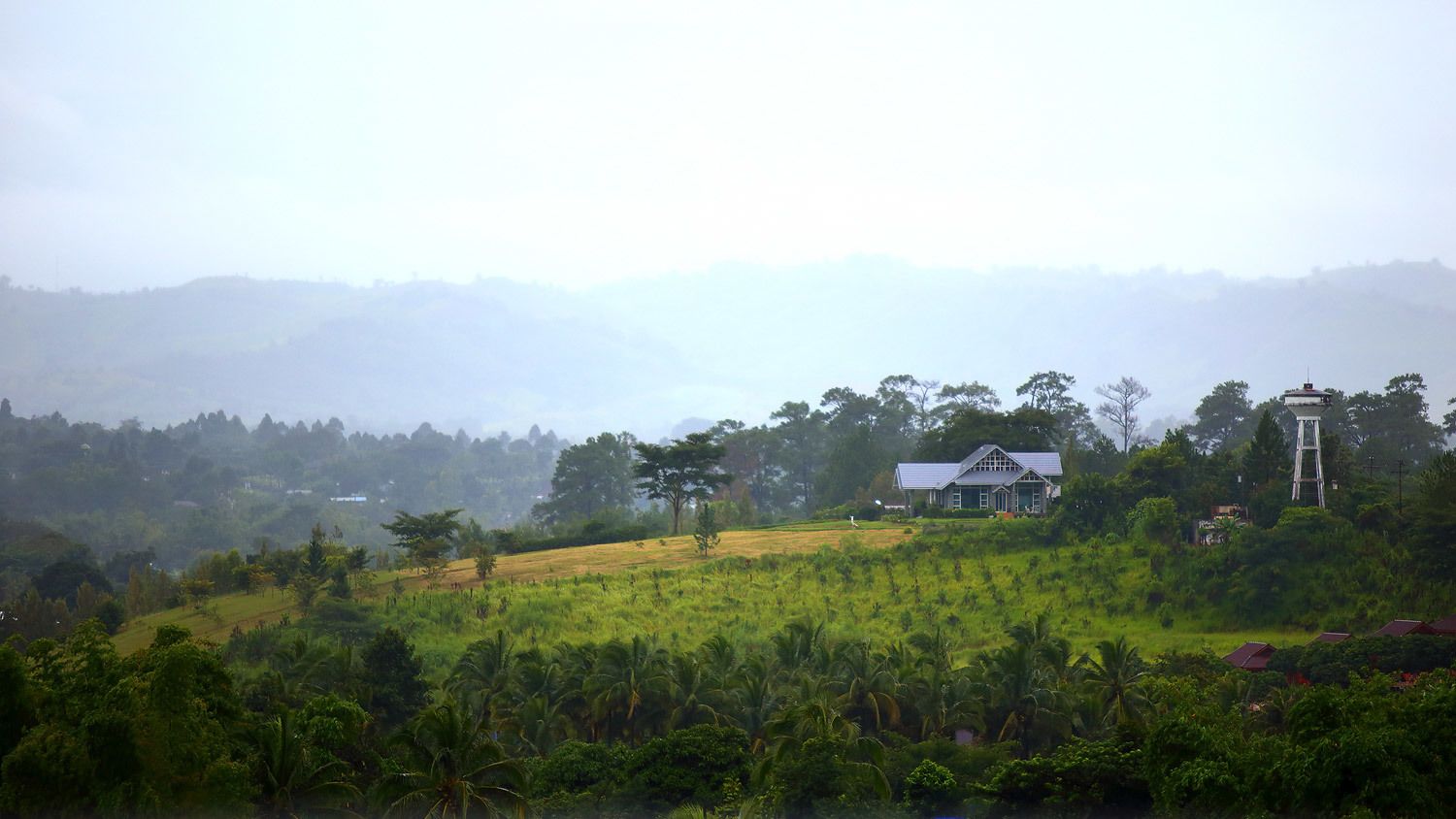 deluxe double or twin room | mountain view