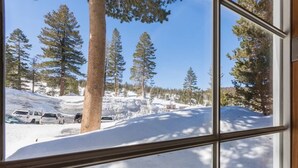 Schneebedeckte Landschaft mit Bäumen und parkenden Autos, sichtbar durch ein Fenster.