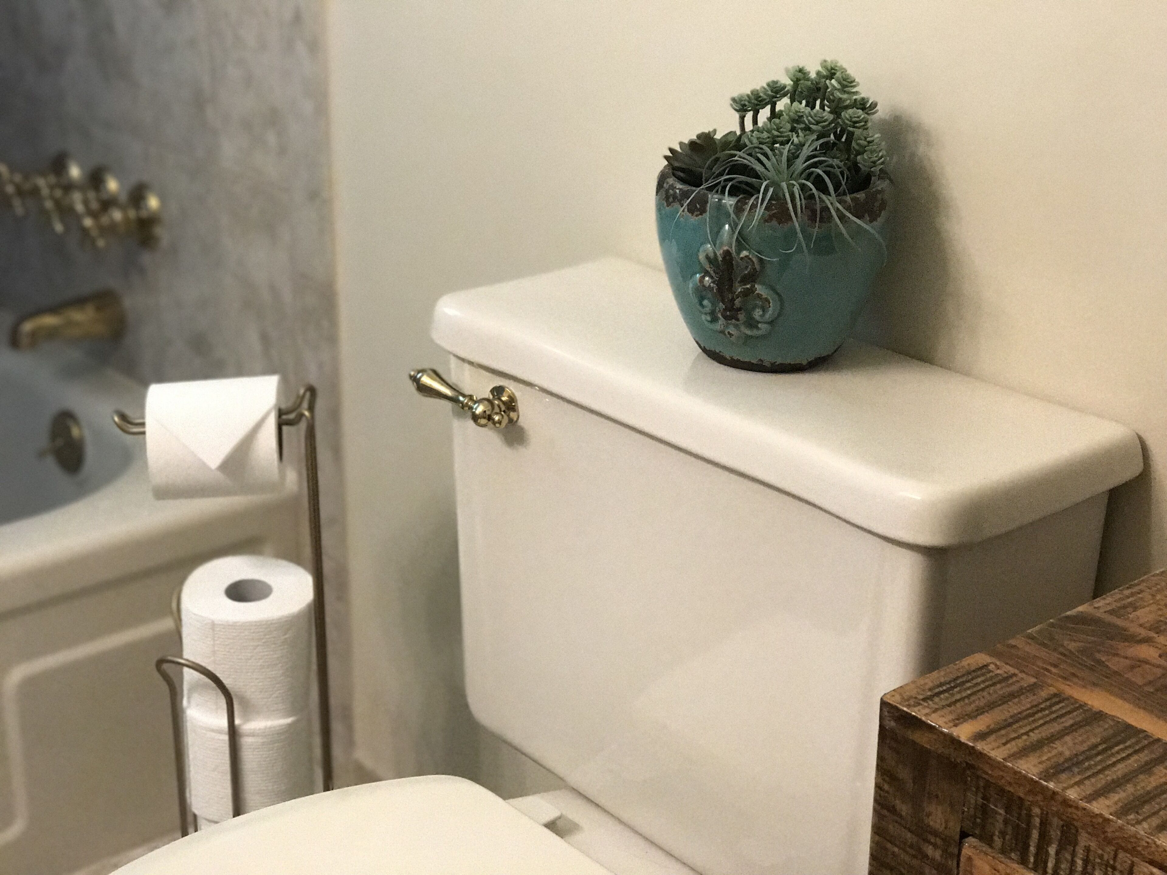 Un baño con inodoro, un rollo de papel higiénico y una maceta azul con suculentas sobre el tanque del inodoro.