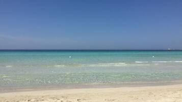 Serviettes de plage