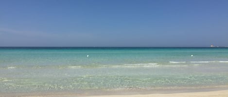 Toallas de playa