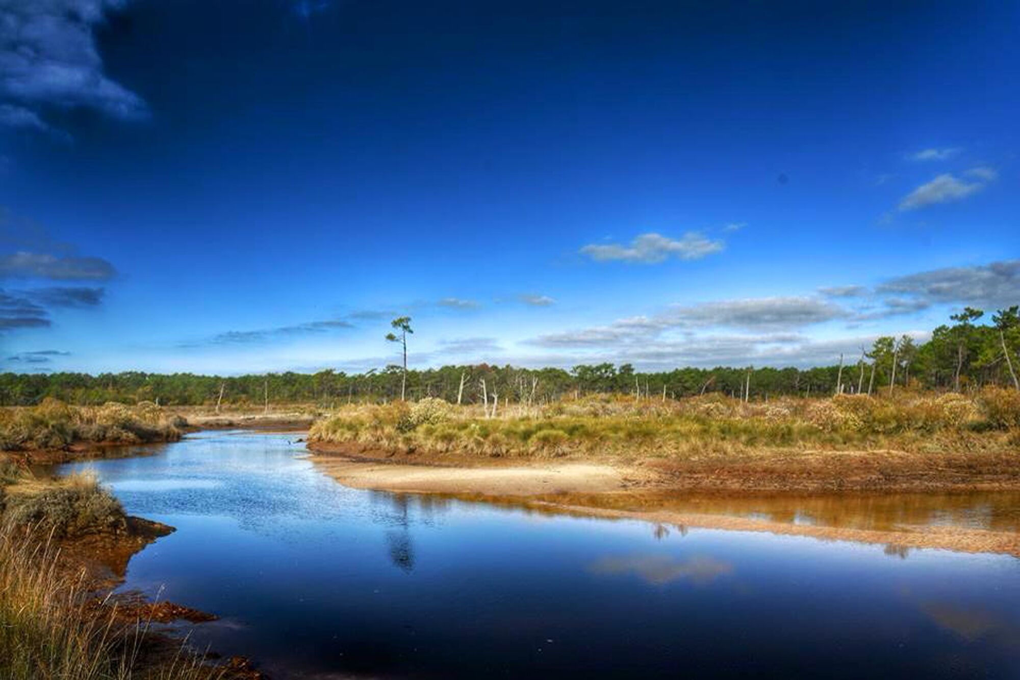 Une rivière paisible aux eaux limpides, bordée d’une végétation luxuriante et reflétant un ciel dégagé.