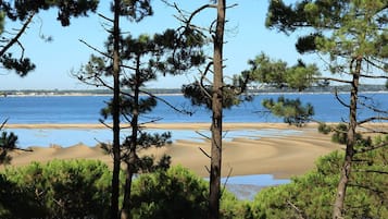 Una spiaggia nelle vicinanze